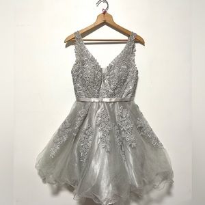Silver Laced Formal Dress